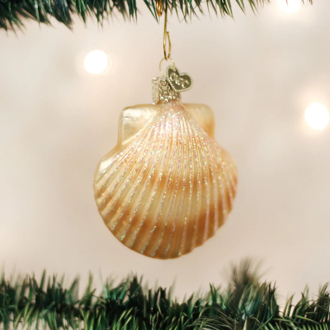 Scallop Shell