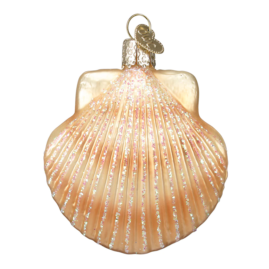 Scallop Shell