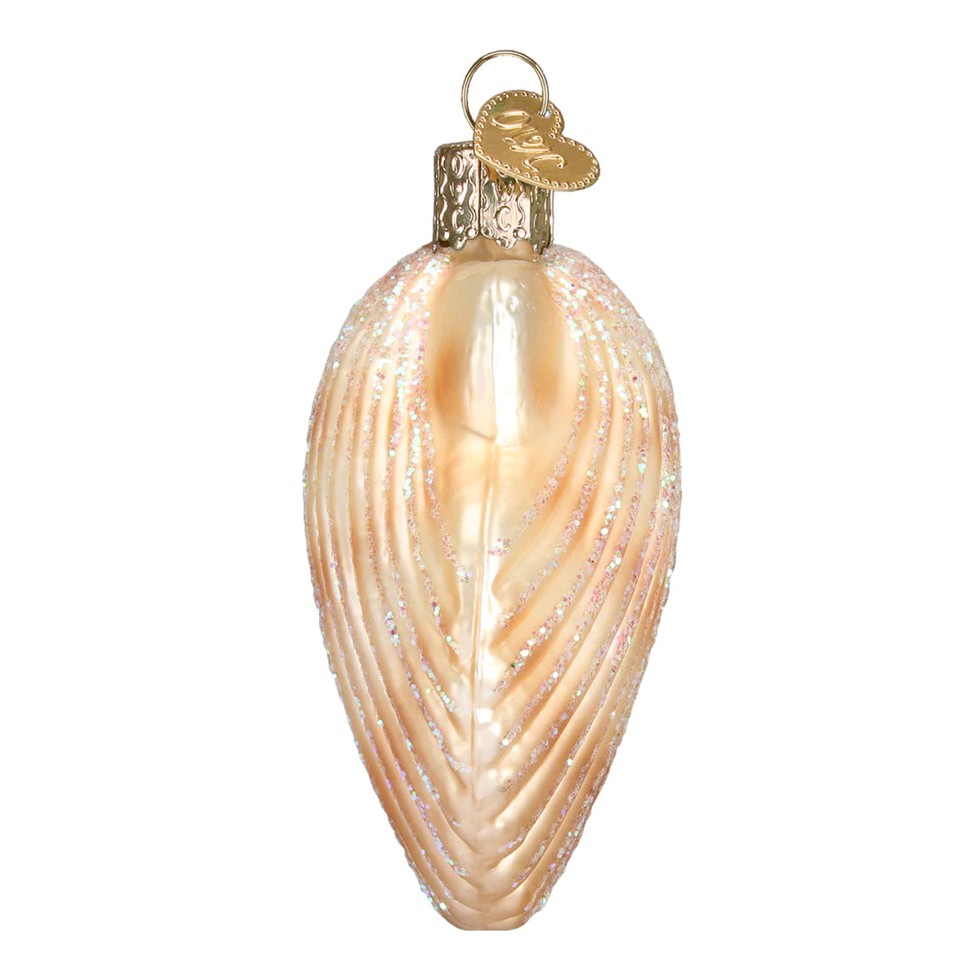 Scallop Shell