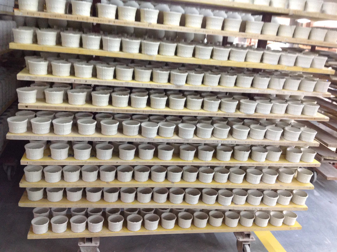 Historia Ramekin Paperwhite