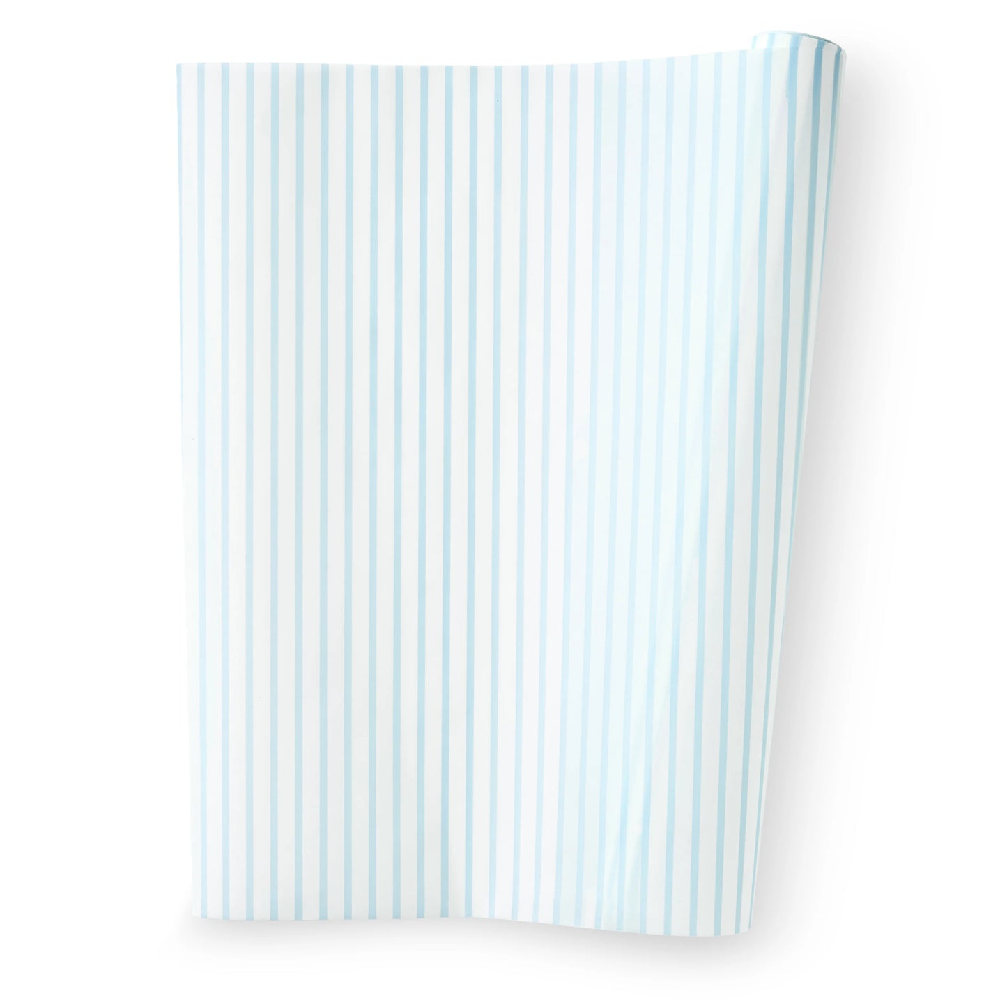 Parchment Roll