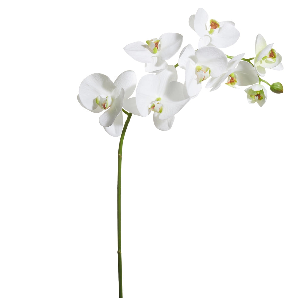 33.5" Real Touch White Phalaenopsis Stem