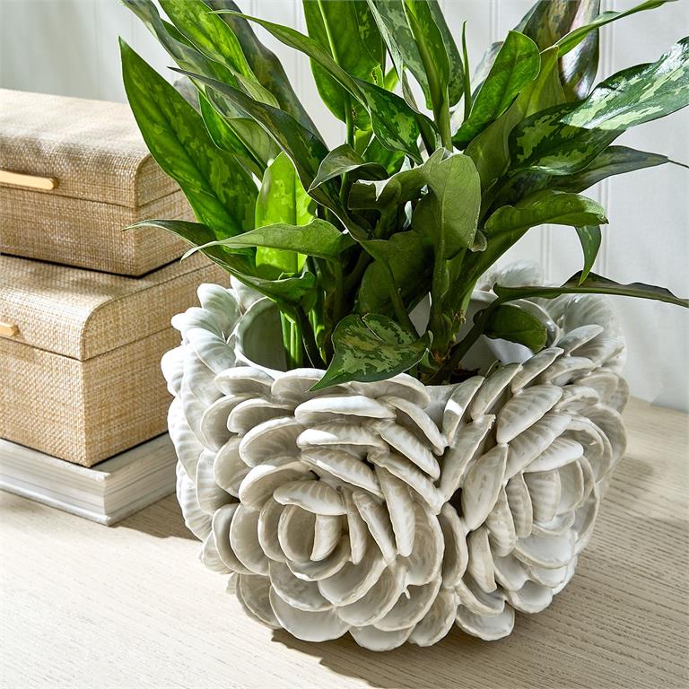 Clam Shell Planter