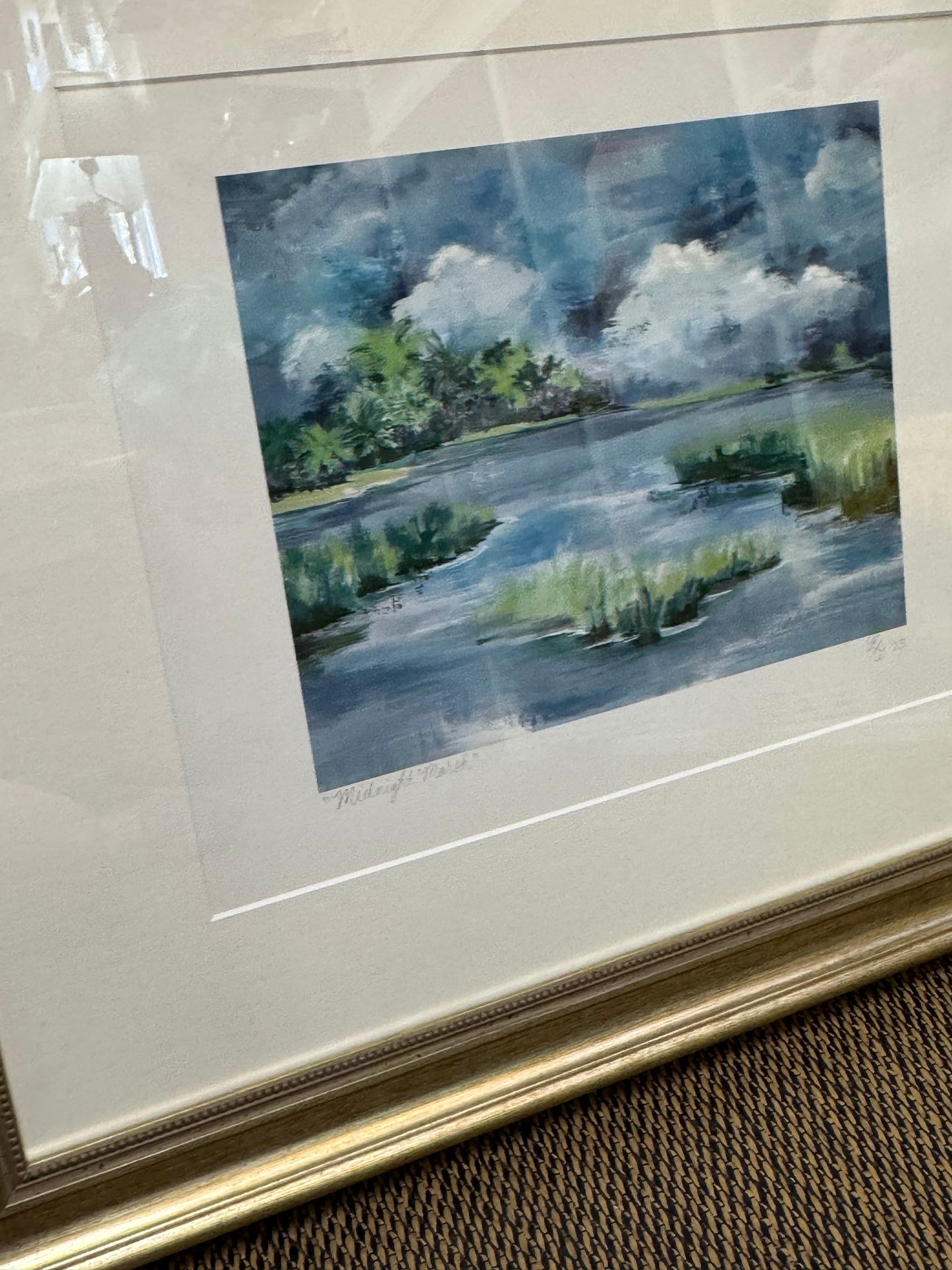 "Midnight Marsh"