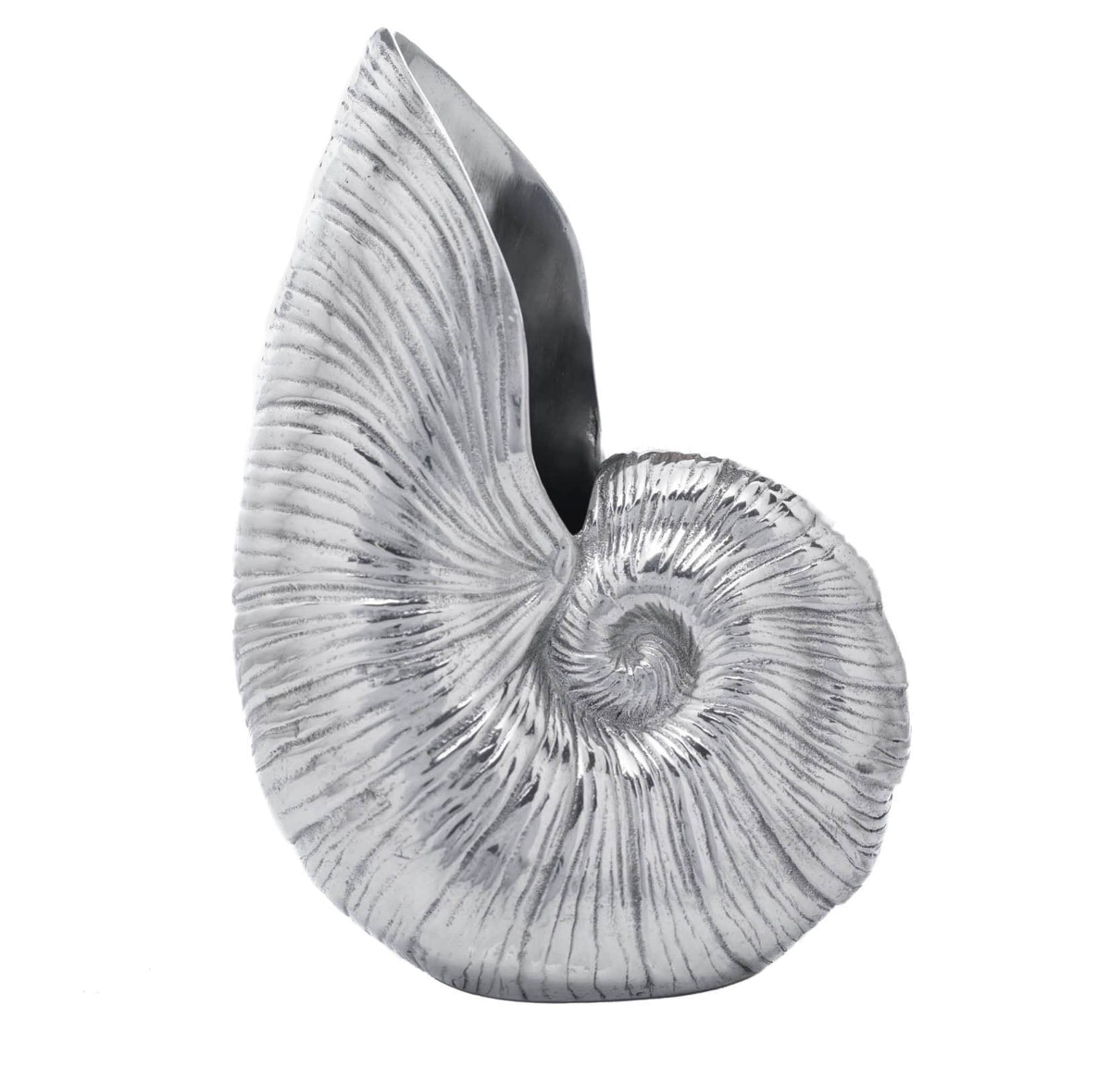 Shell Pitcher