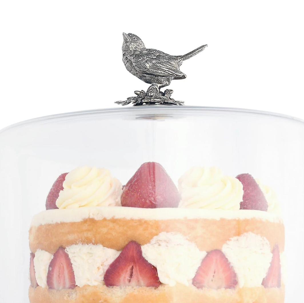 Song Bird Plate & Glass Dome