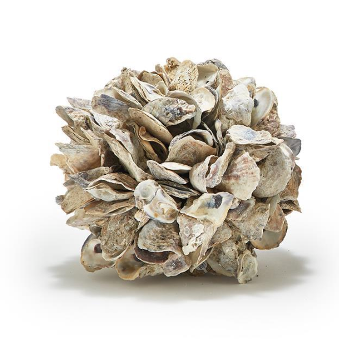 Oyster Ball