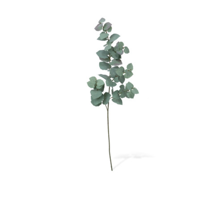 Eucalyptus Stem, Faux
