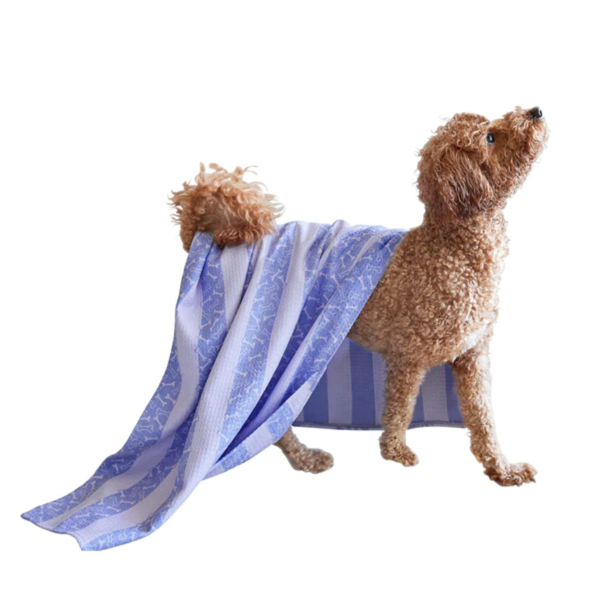 Dog Towel