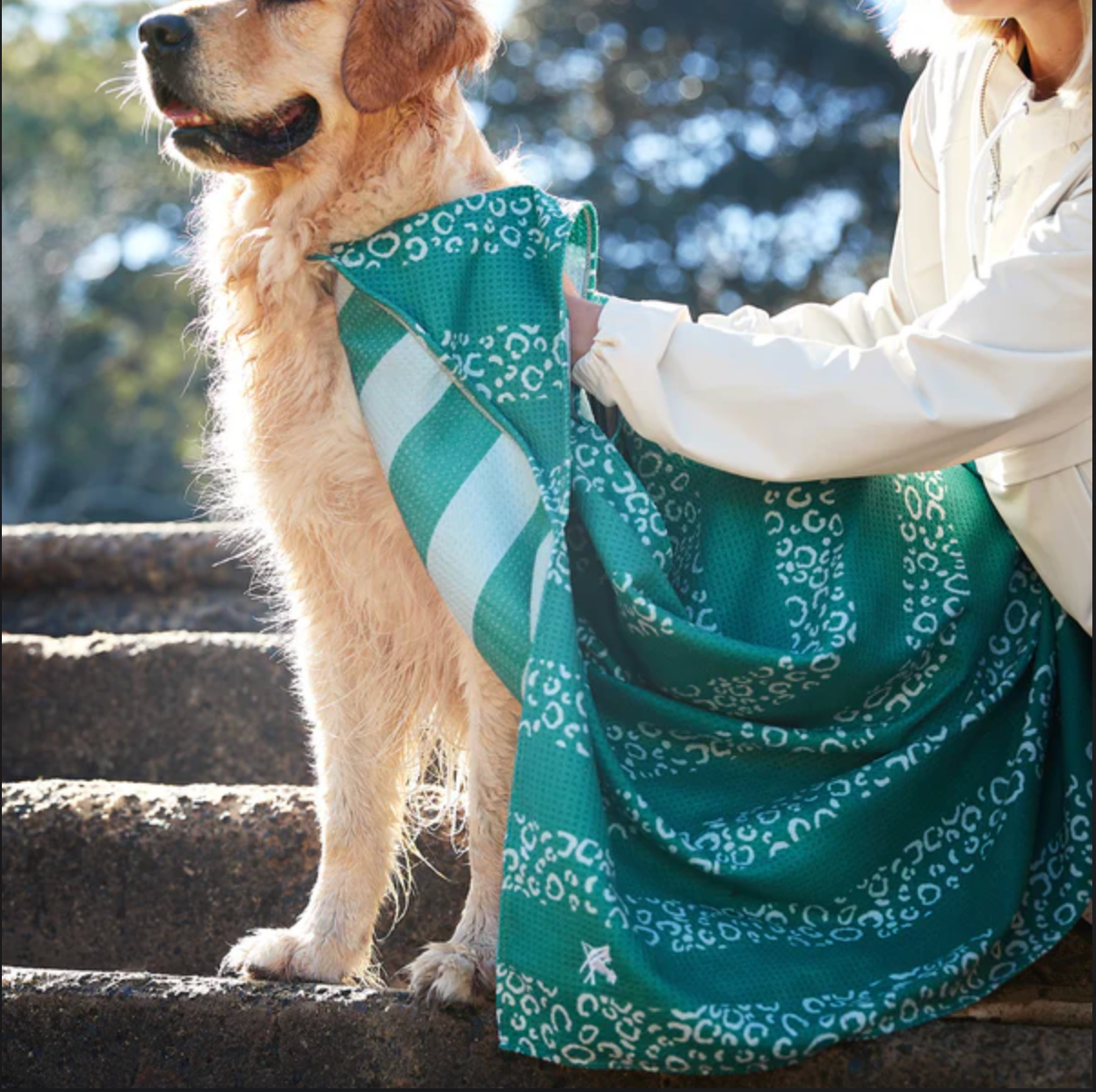 Dog Towel