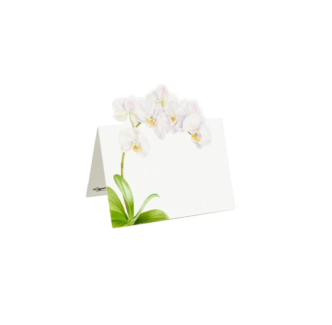 White Orchid Place Cards
