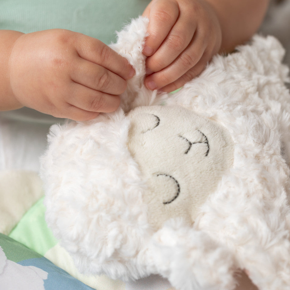 Goodnight Pray Lamb Book