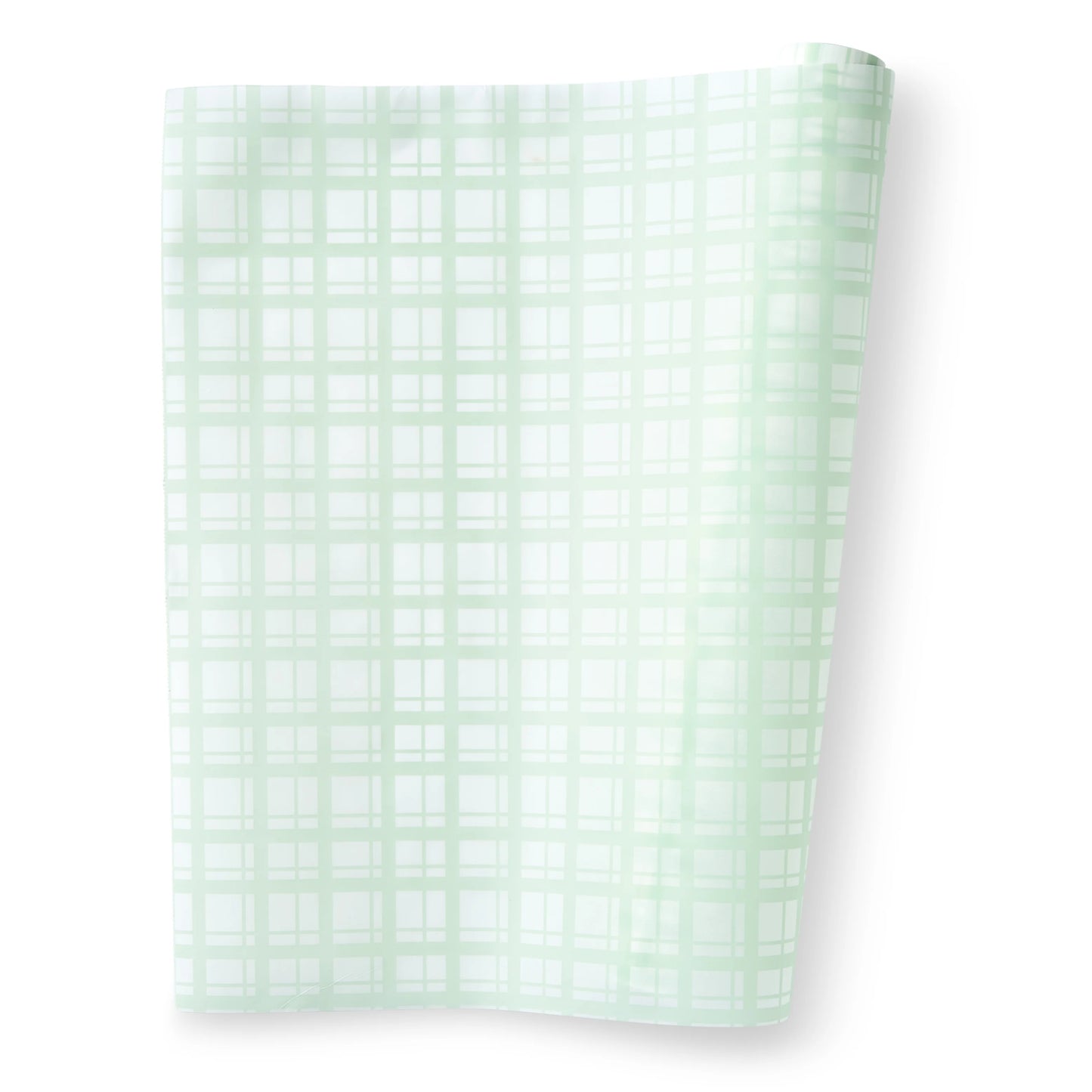 Parchment Roll