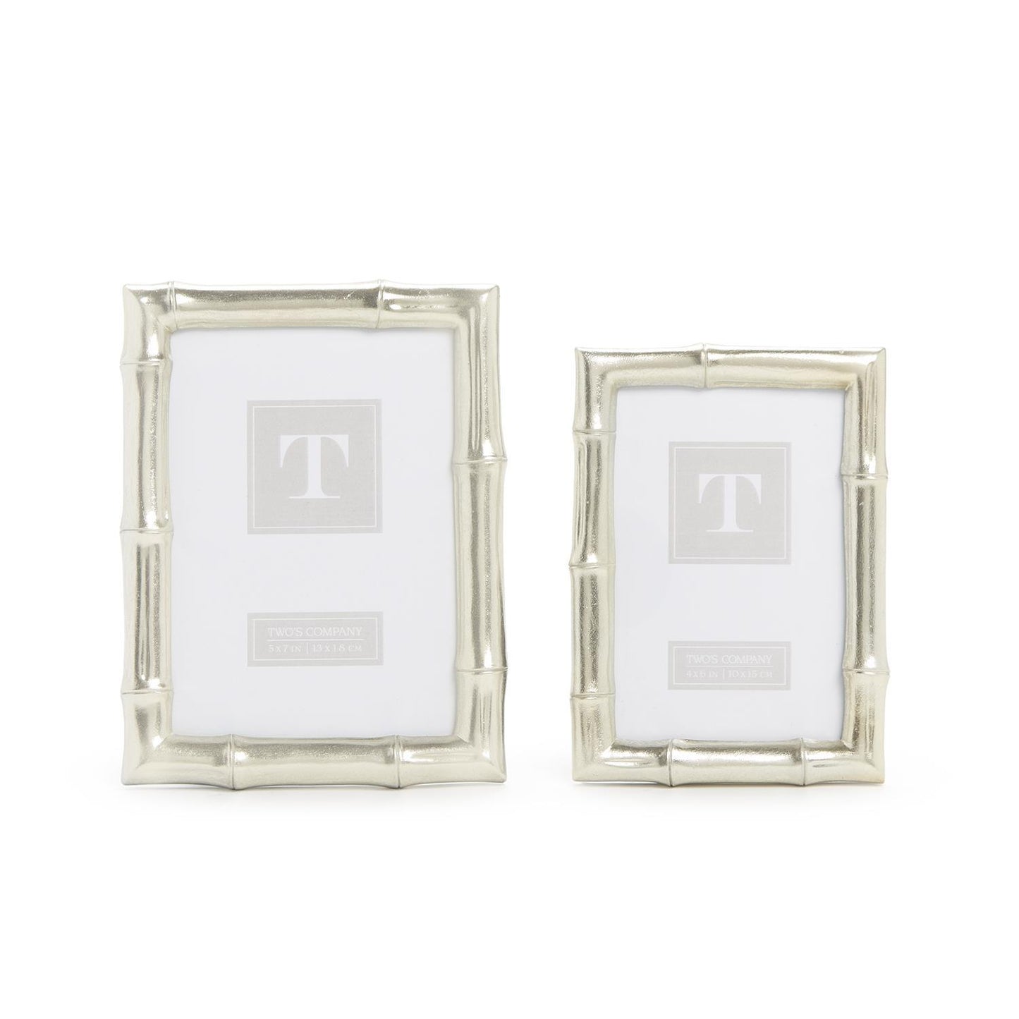 Silver Bamboo Frame