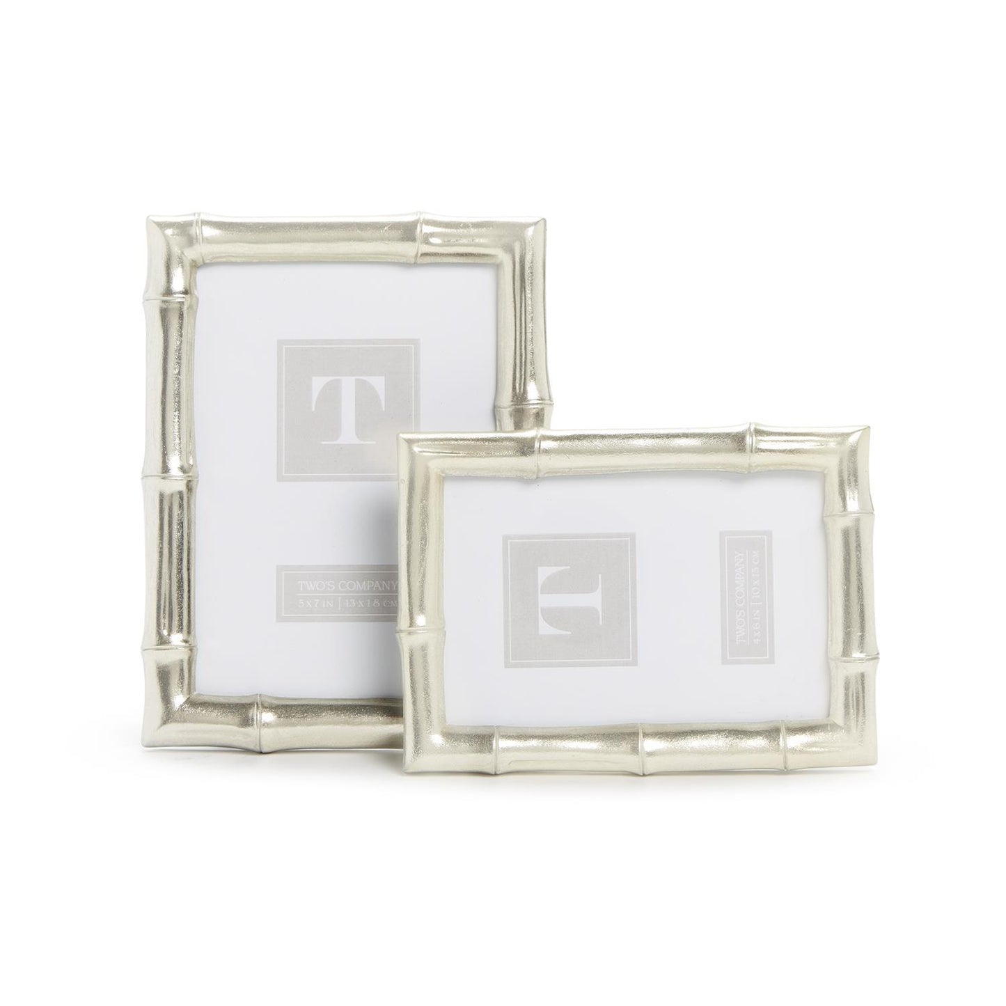 Silver Bamboo Frame