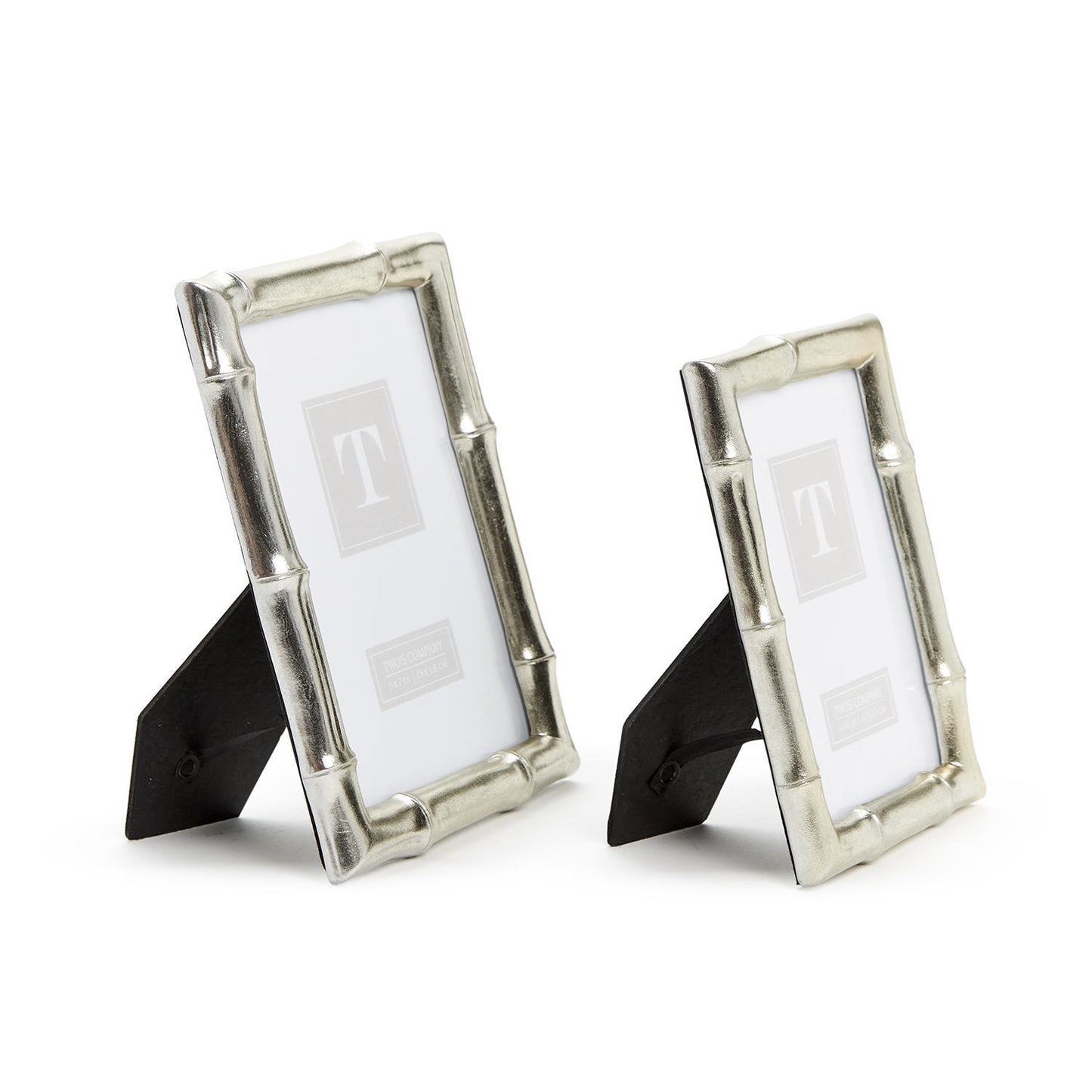 Silver Bamboo Frame