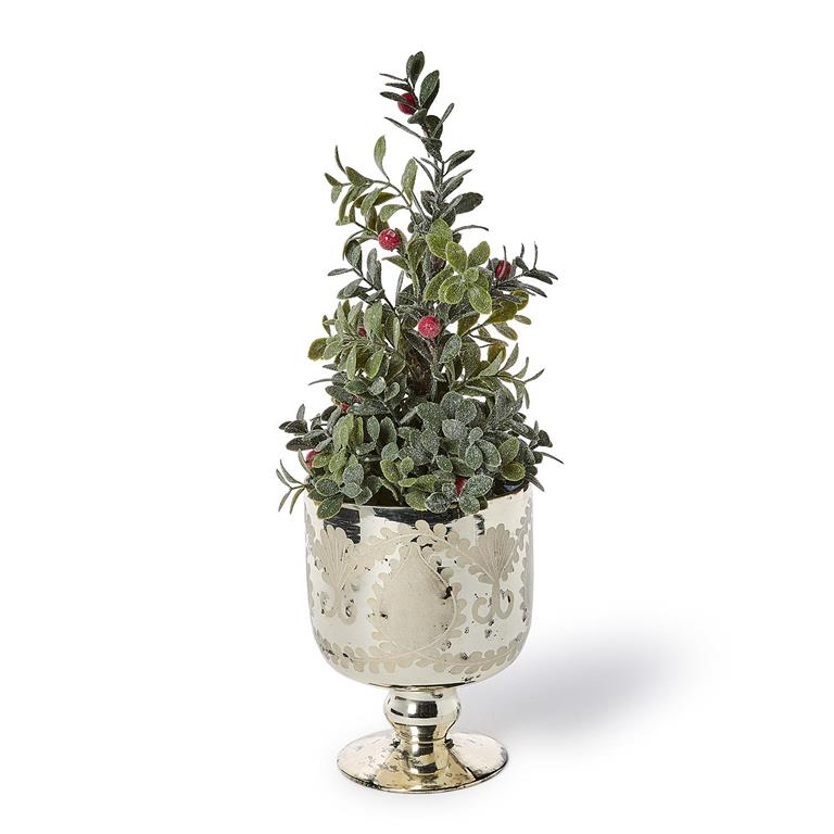 Mercury Glass Cachepot