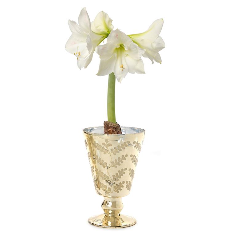 Mercury Glass Cachepot