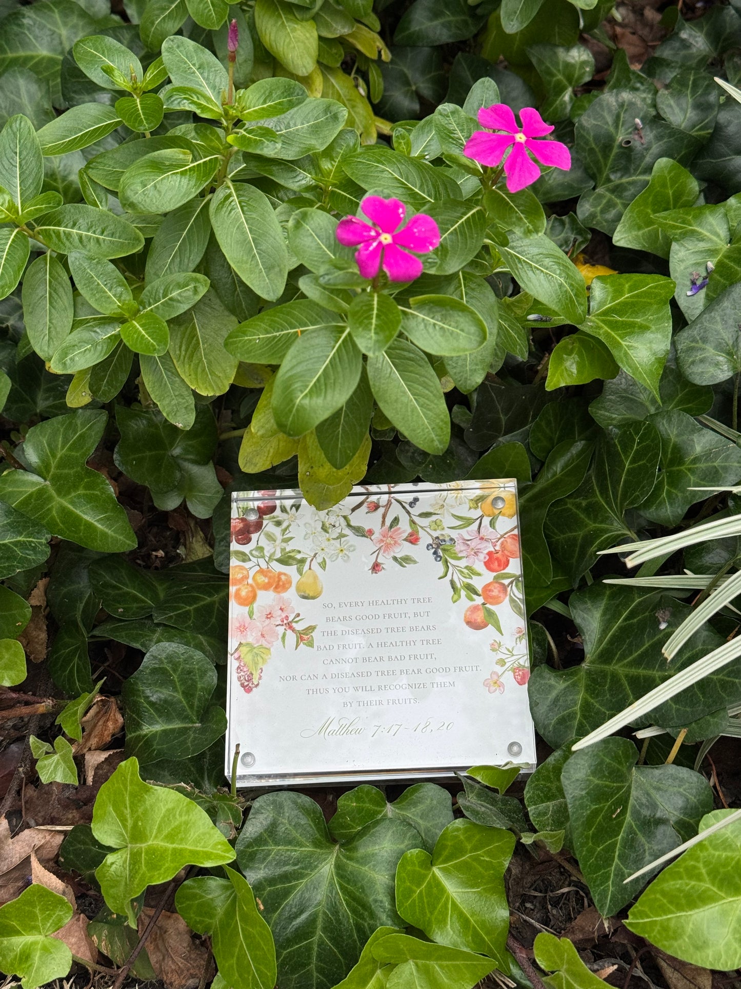 Fruits of the Spirit Scripture Cards