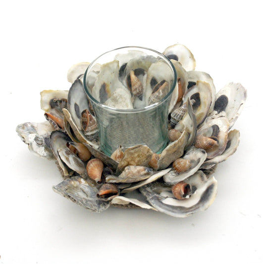 Oyster Shell Glass Tealight Holder