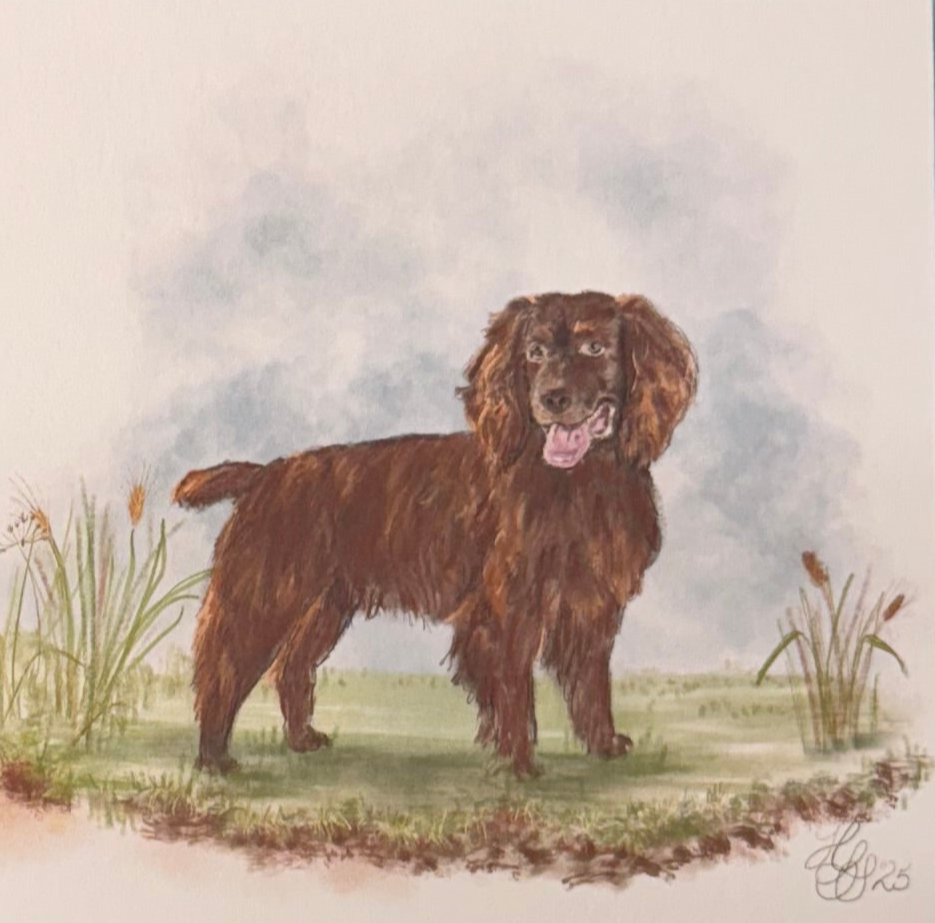Field Spaniel “Petite Pup” Acrylic Art