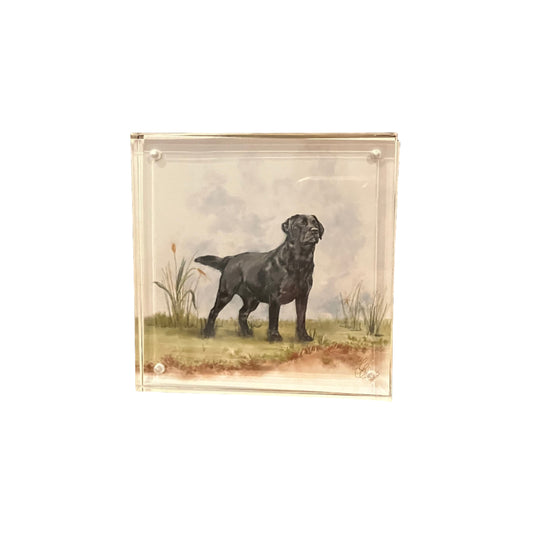 Hunting Dog Acrylic Block