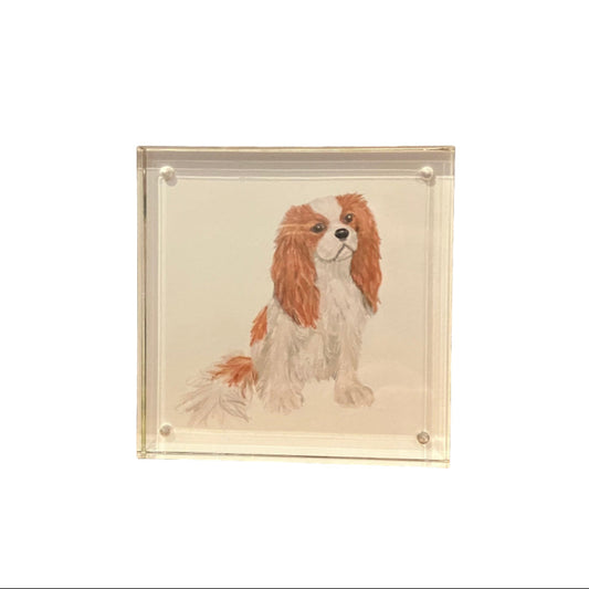 King Charles Spaniel Acrylic