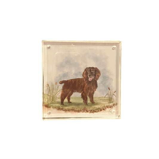 English Cocker Spaniel Acrylic Block
