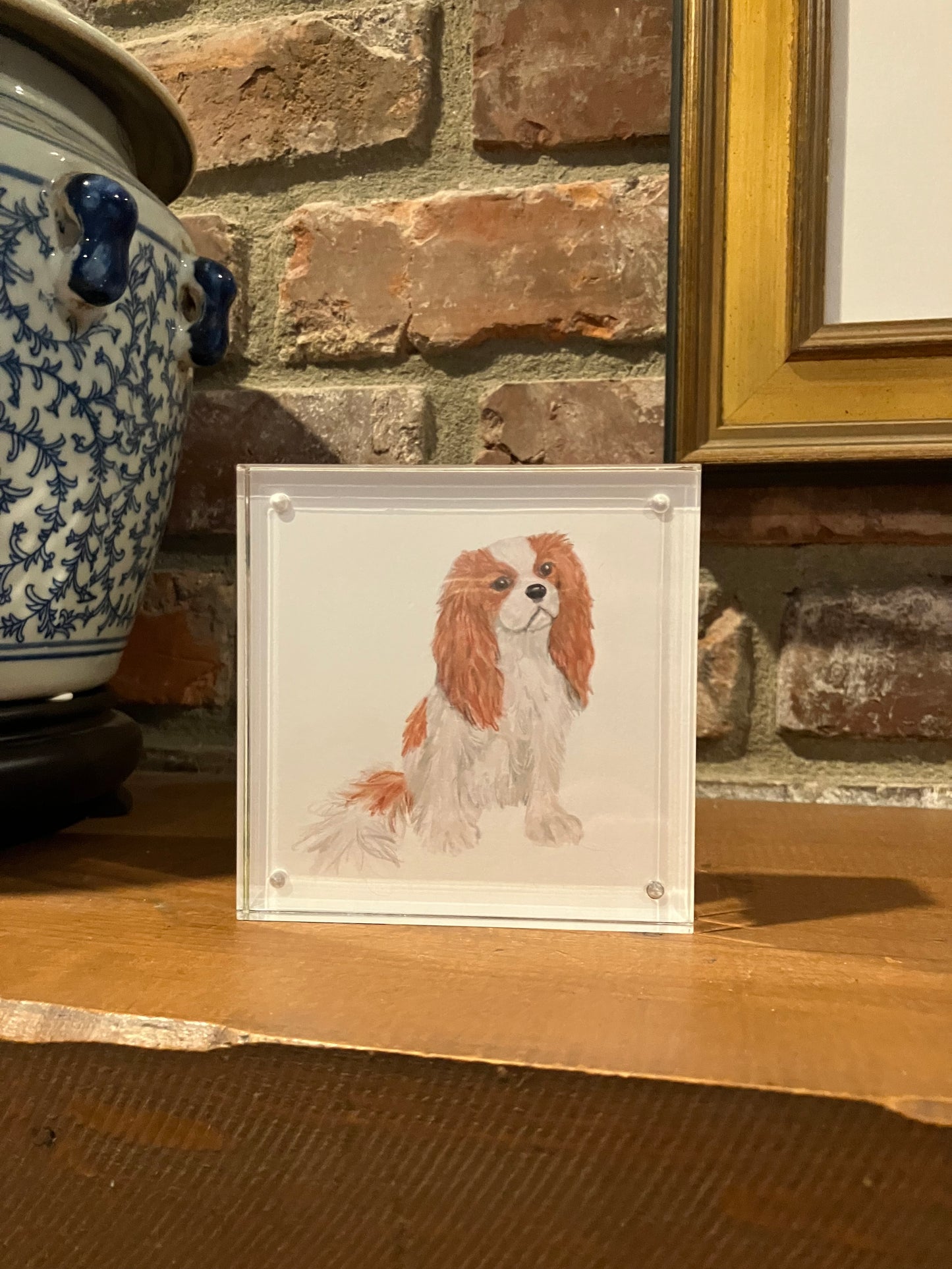 Blenheim Cav