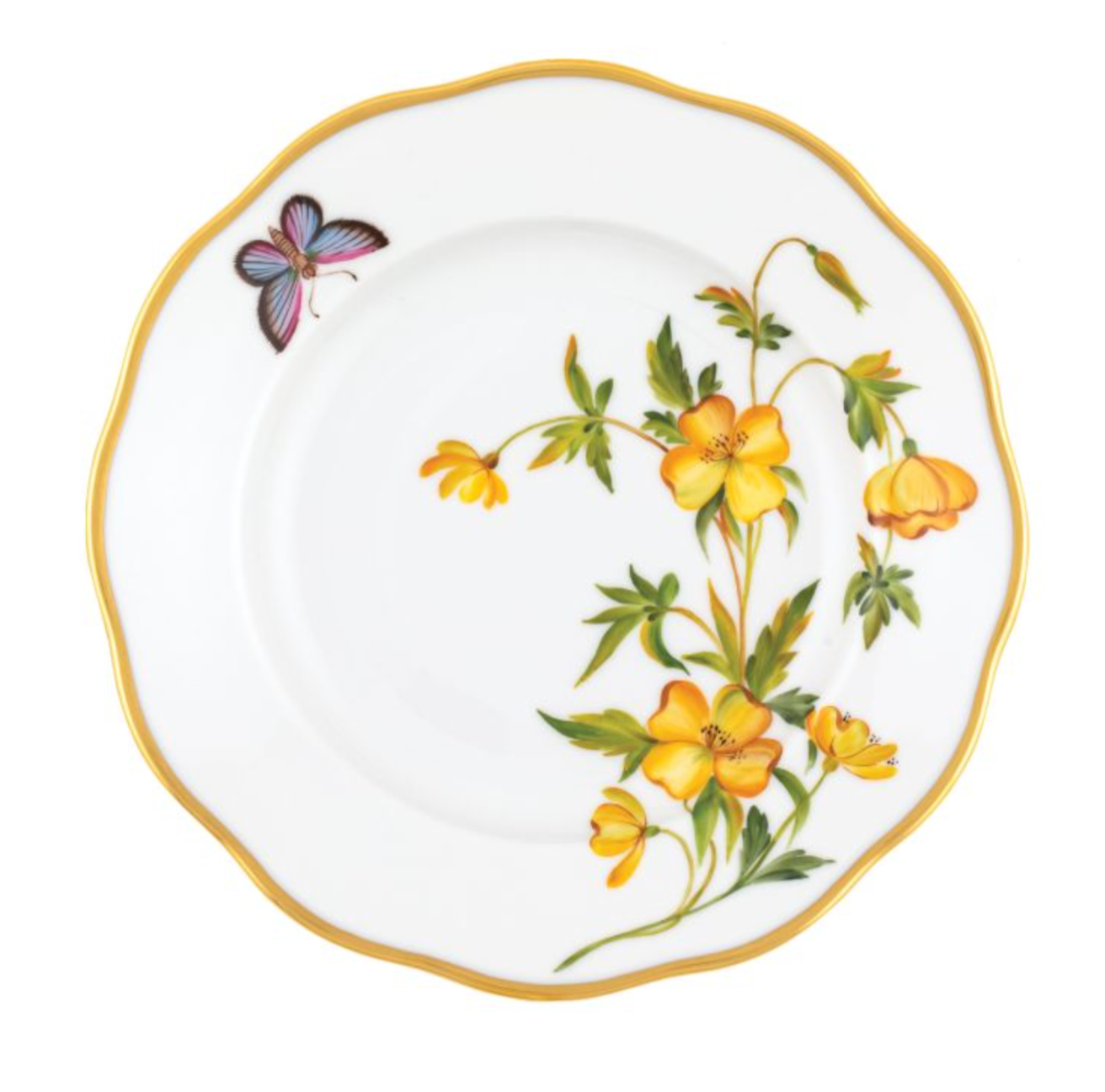 American Wildflowers