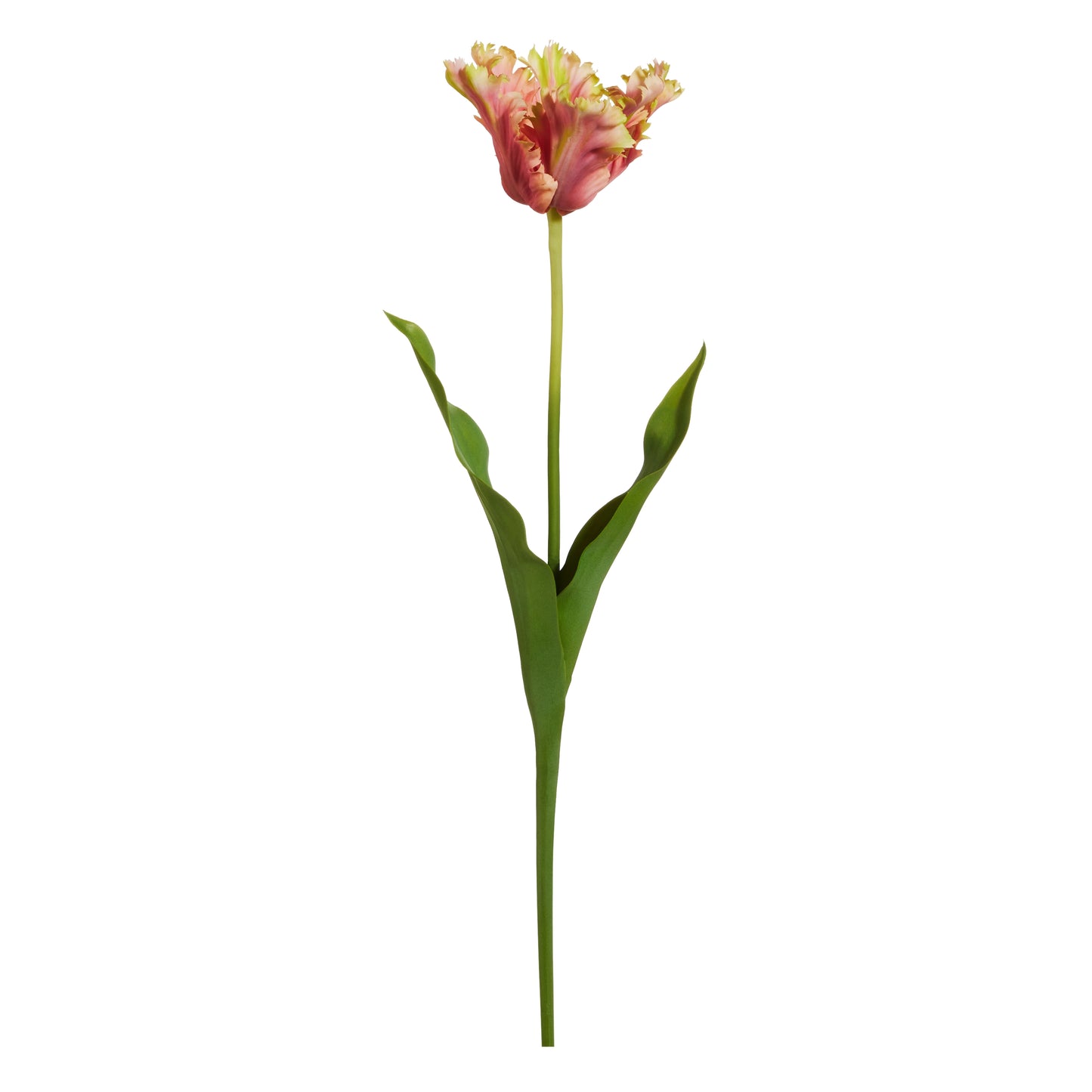 23" Tulip Stem, Pink/Green