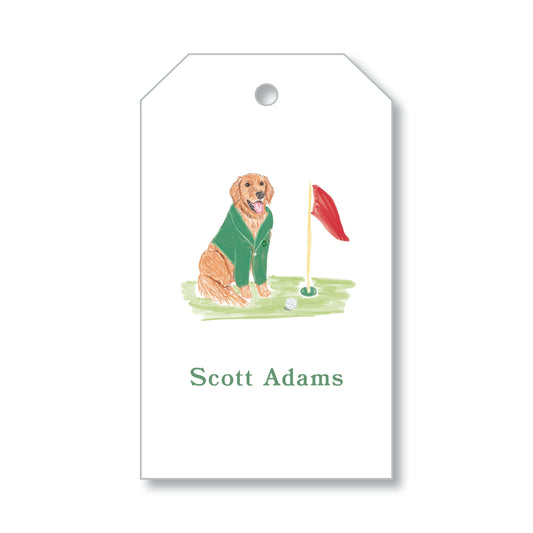 Dog wearing green jacket