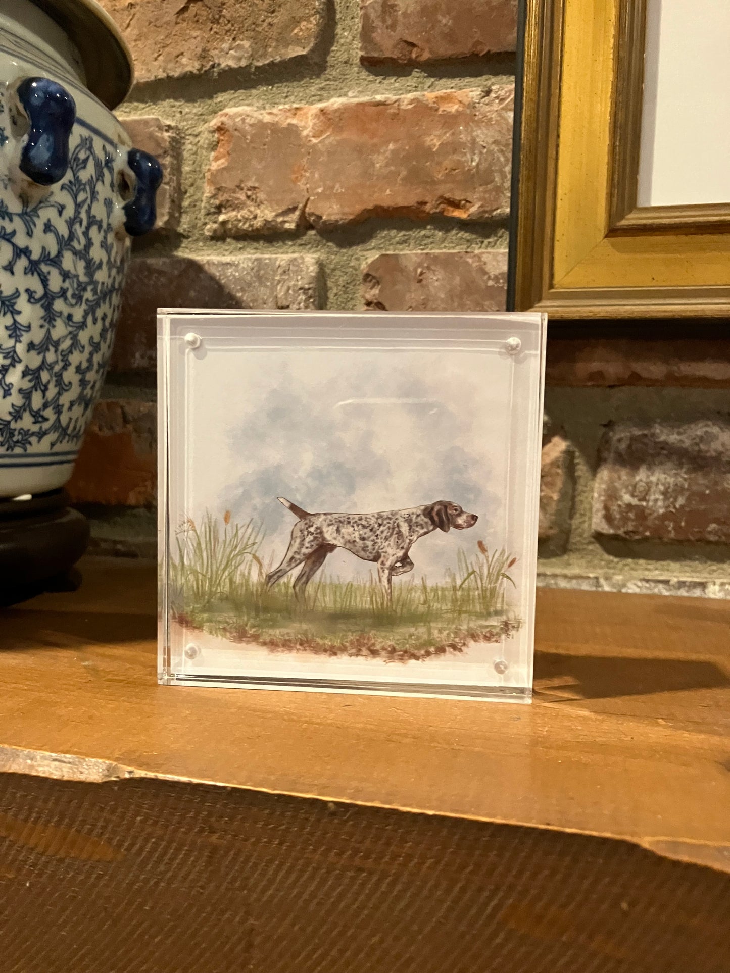 Pointer “Petite Pup” Acrylic Art