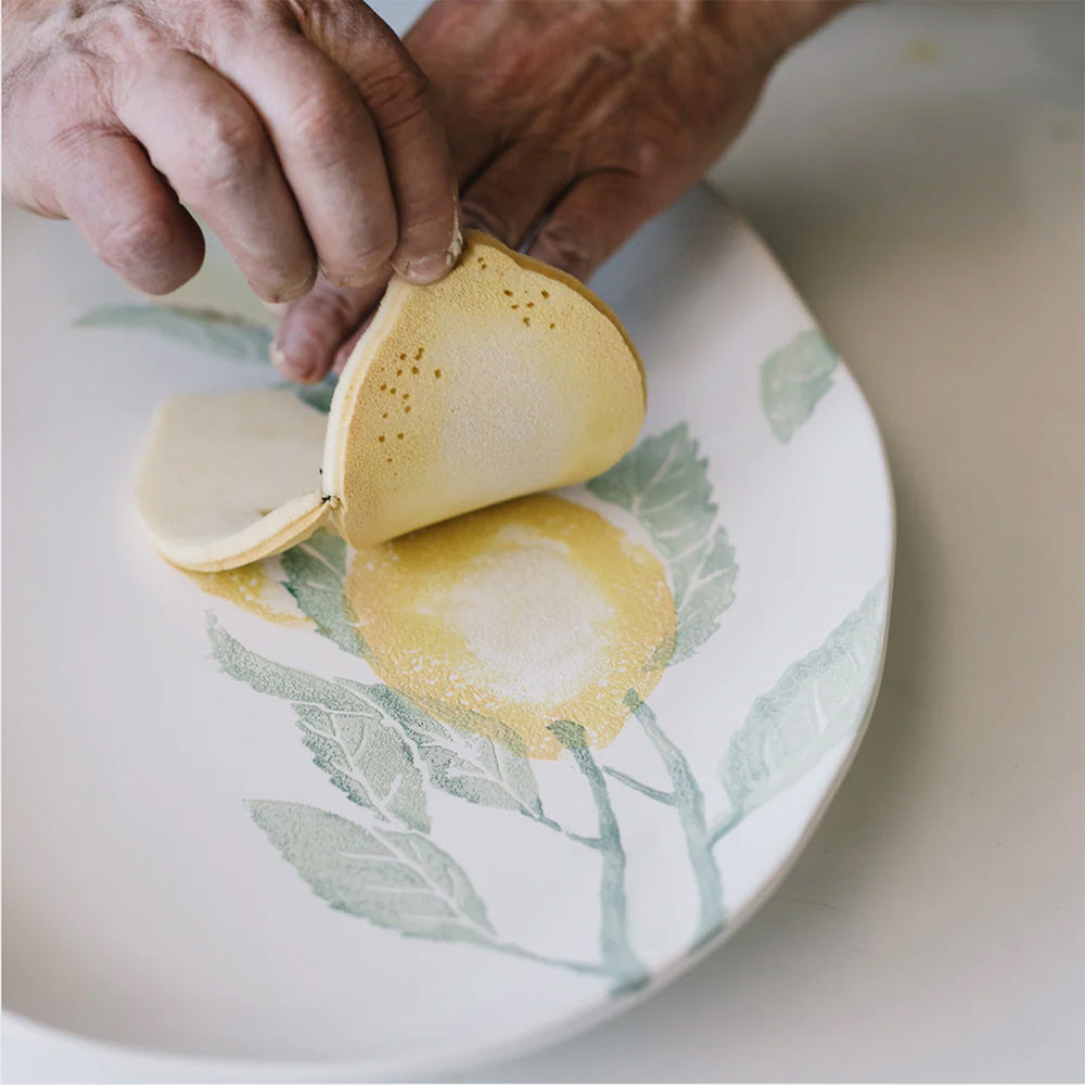 Italy on a Plate Book