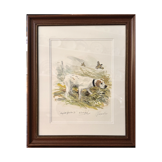 "English Pointer II" Dog Giclee Print