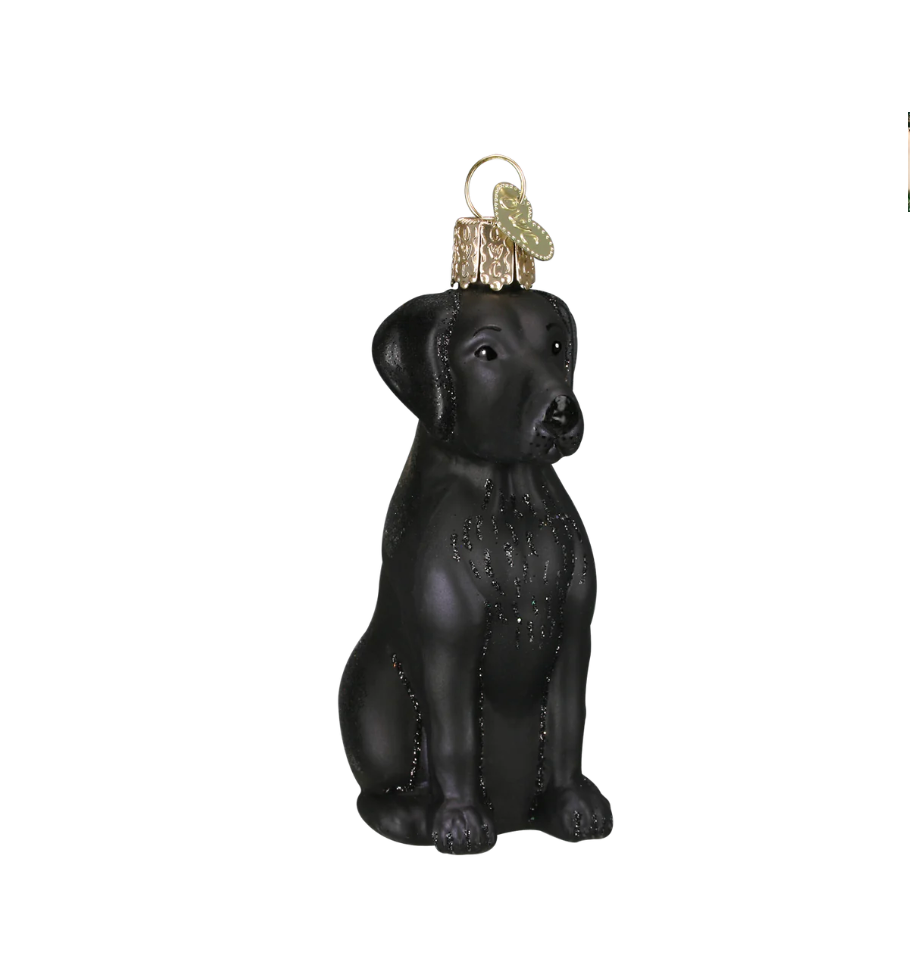 Leonardo Collection Chihuahua Ornamentale in Pietra, Marrone Chiaro Leonardo Collection Chihuahua Ornamentale in Pietra, Marrone Chiaro
