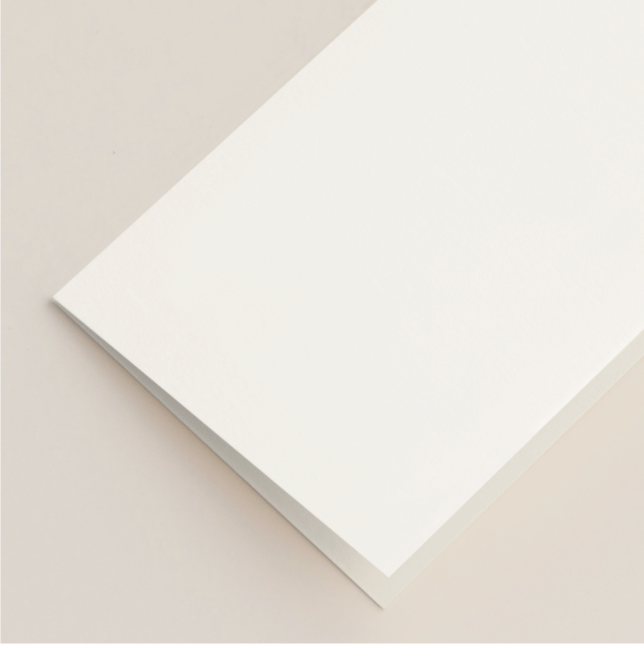 White Folded Place Cards