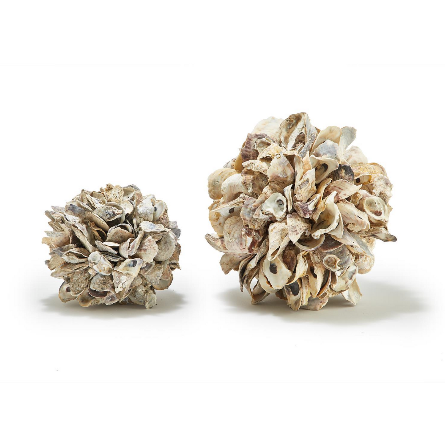 Oyster Ball