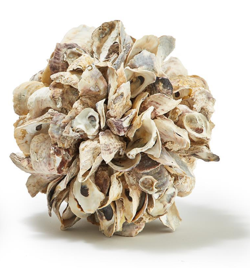 Oyster Ball