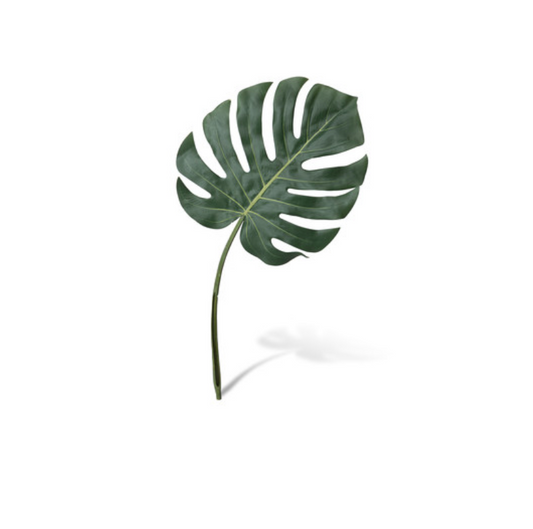 Monstera Leaf, Faux