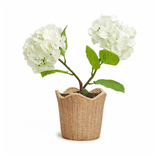 Scalloped Edge Cachepot