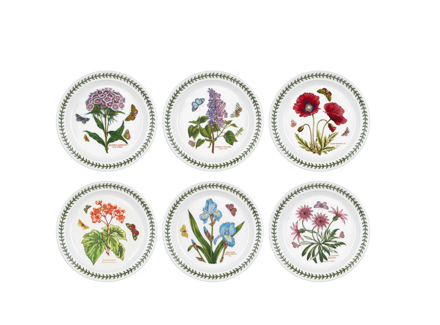 Botanic Garden, Set of 6