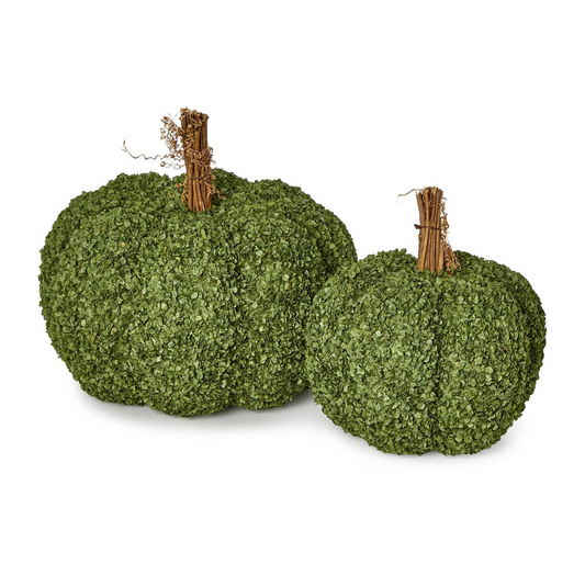 Preserved Pumpkin
