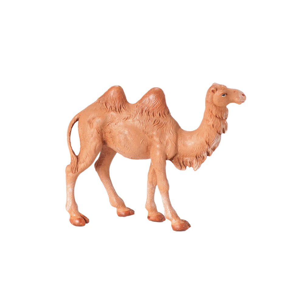 Standing Camel