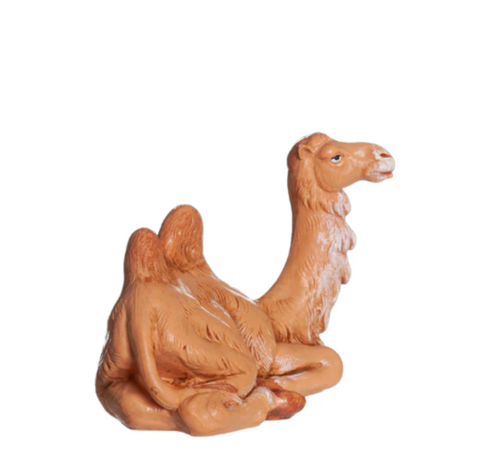 Seated Camel
