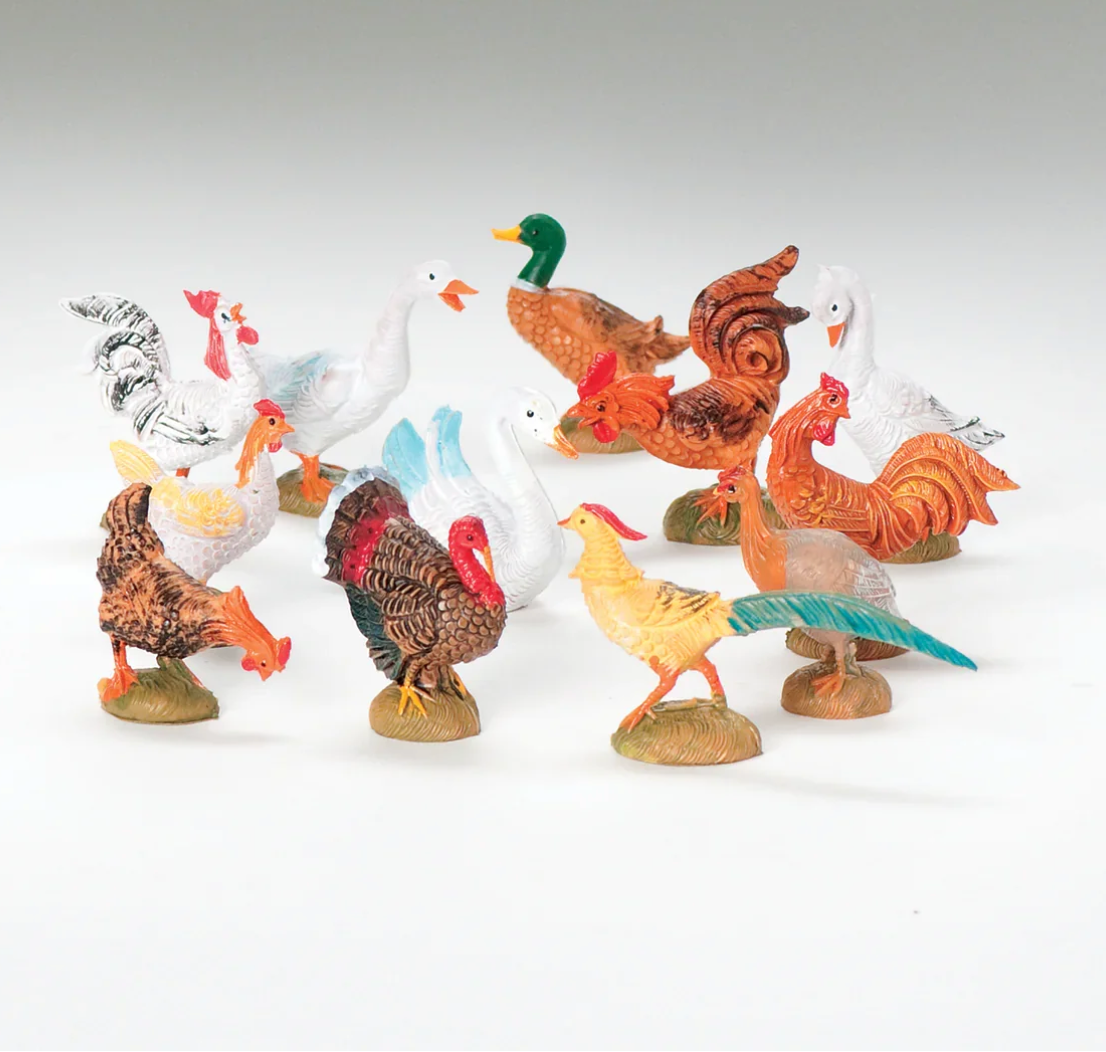 Barnyard Bird