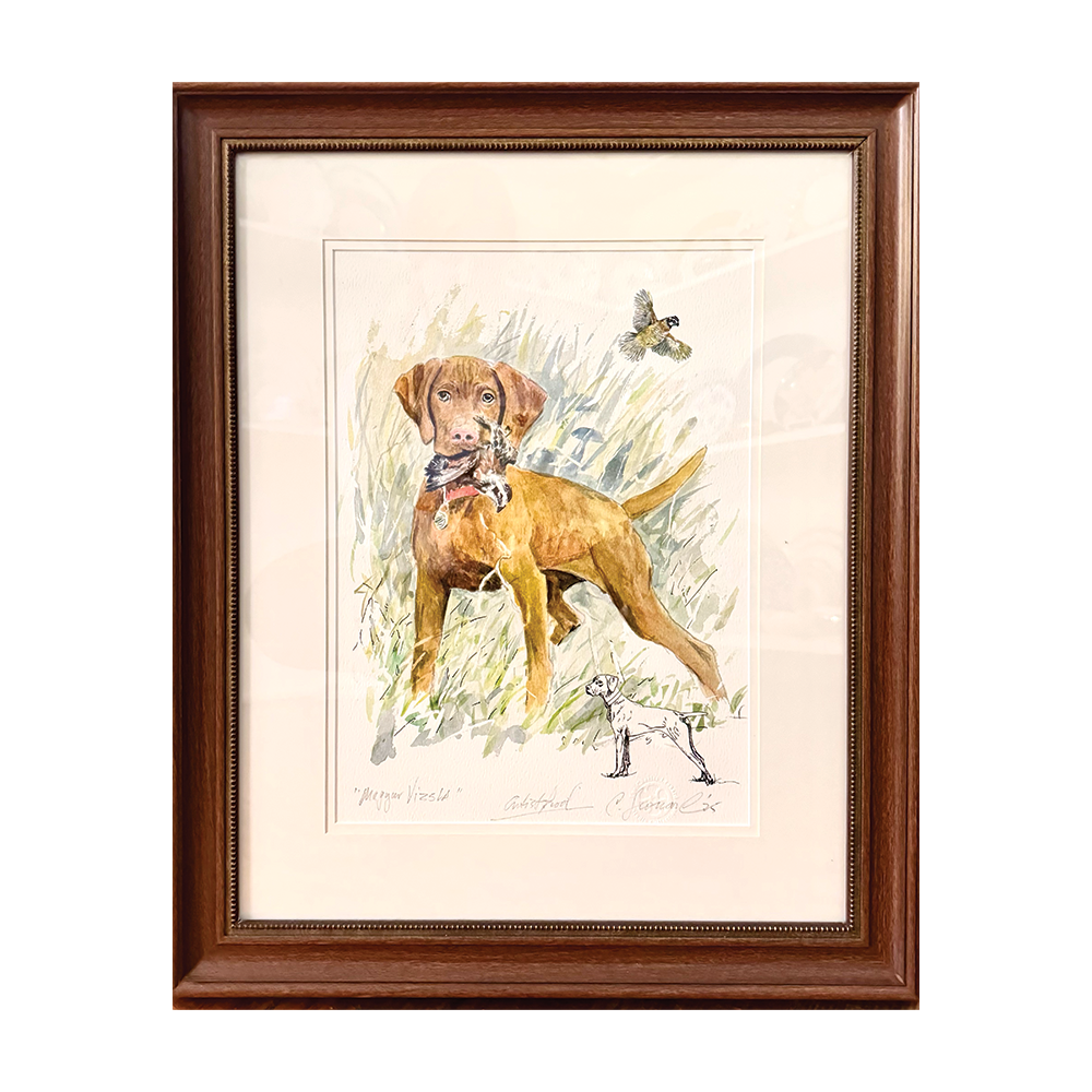 "Vizsla" Dog Giclee Print