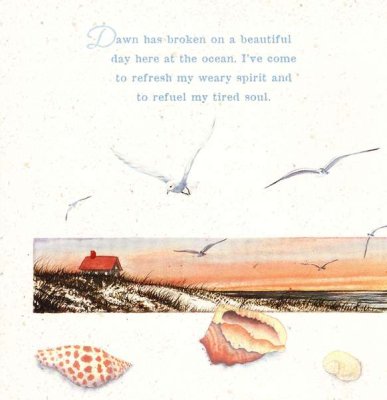 My Beautiful Broken Shell