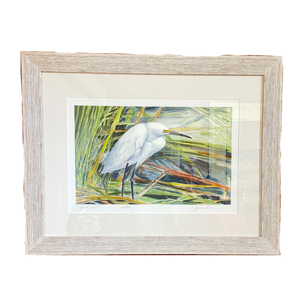 "Young Egret" Giclee Print